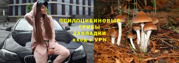 соль курить ск Алексеевка