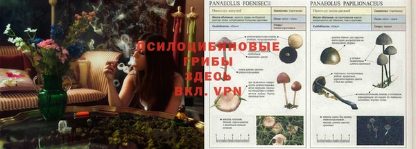 соль курить ск Алексеевка