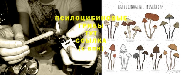 соль курить ск Алексеевка